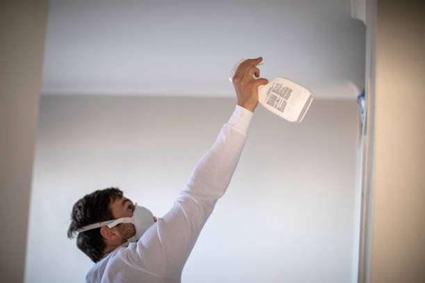 Best Black Mold Removal  in Six Shooter Canyon, AZ