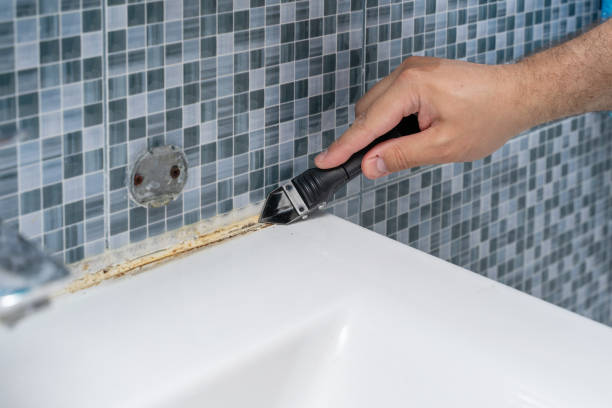 Six Shooter Canyon, AZ Mold Removal Company