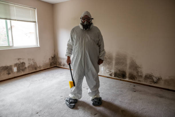 Best Crawl Space Mold Removal  in Six Shooter Canyon, AZ